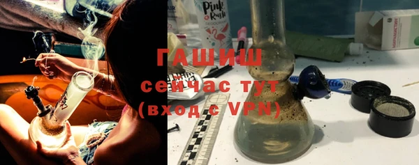 стаф Горняк
