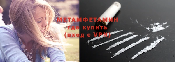 стаф Горняк