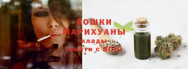 стаф Горняк
