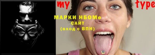 стаф Горняк