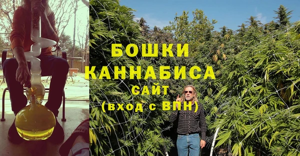 стаф Горняк