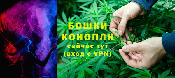 стаф Горняк