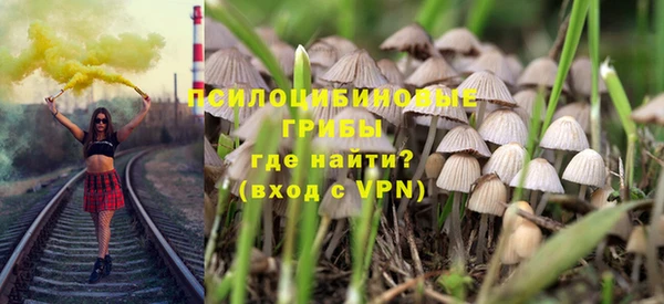 соль курить ск Горно-Алтайск