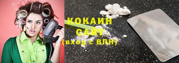 стаф Горняк