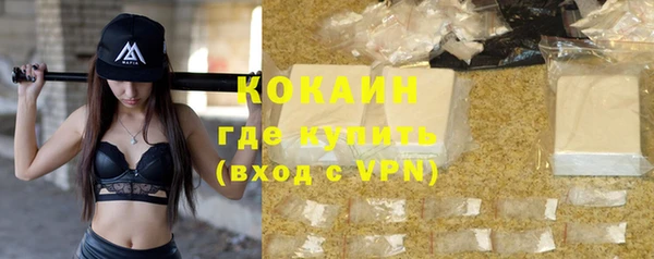стаф Горняк